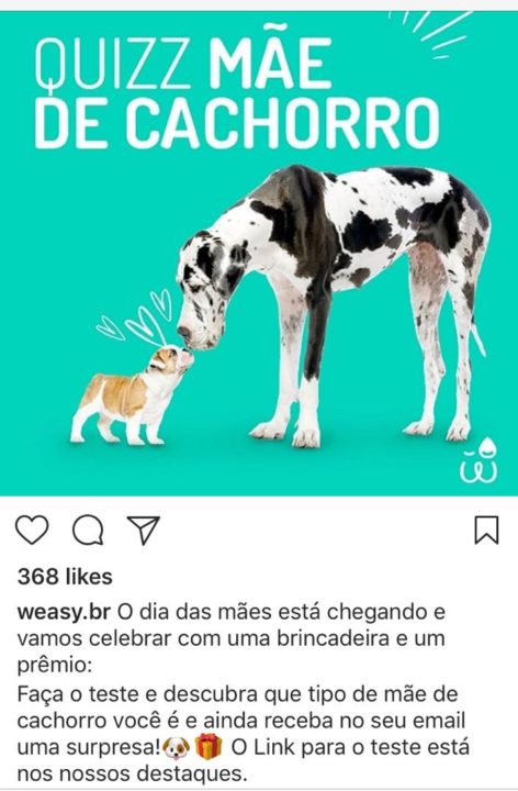campanha weasy dia das mães - que tipo de mãe de cachorro você é - instagram